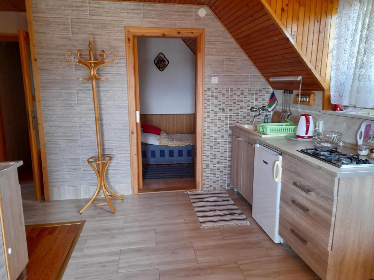 Harmonia Vendeghaz 100 Meterre Az Igali Gyogyfuerdotol Apartment Exterior photo