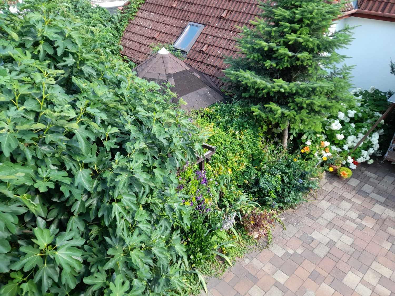 Harmonia Vendeghaz 100 Meterre Az Igali Gyogyfuerdotol Apartment Exterior photo