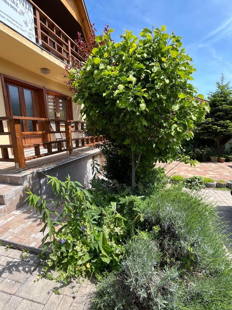 Harmonia Vendeghaz 100 Meterre Az Igali Gyogyfuerdotol Apartment Exterior photo